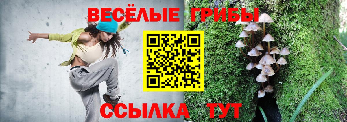 как найти закладки  Псилоцибиновые грибы Cubensis  Вход с VPN  Псилоцибиновые грибы MAGIC MUSHROOMS  Можайск 